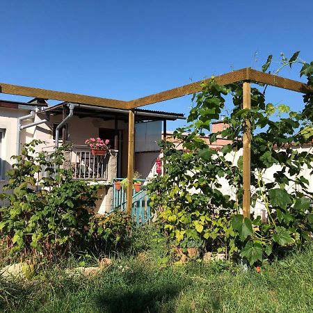 Ubytování u Jeřábků Mikulov Exterior foto