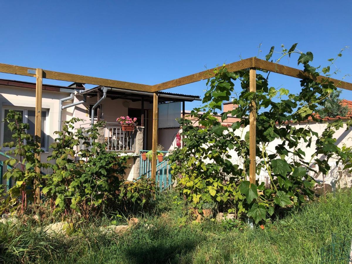Ubytování u Jeřábků Mikulov Exterior foto